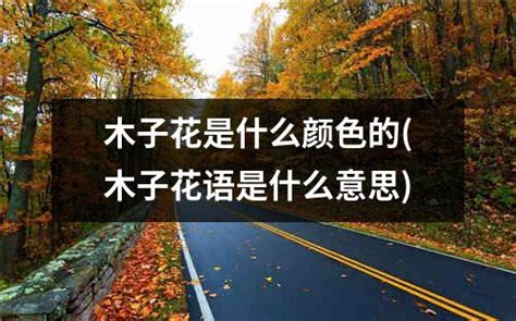 花是昨日之花你的梦是少年之梦图片