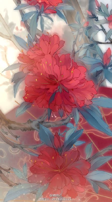 画师—晓泊图片