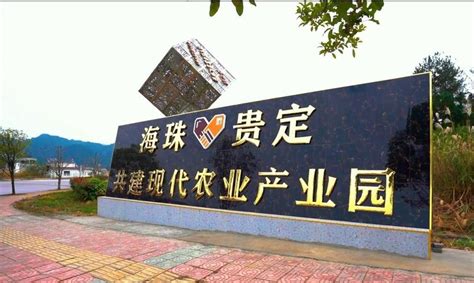 广州海珠贵定农研旅示范项目签约，助推贵定县乡村振兴建设