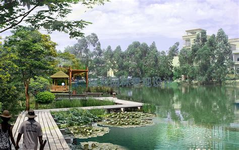 未来乡村湿地景观规划设计的发展趋势 - 建科园林景观
