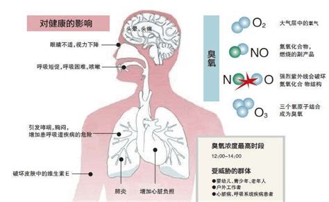 中国城市臭氧污染危害超PM2.5,儿童成最危险受害者 - 广州极端科技有限公司