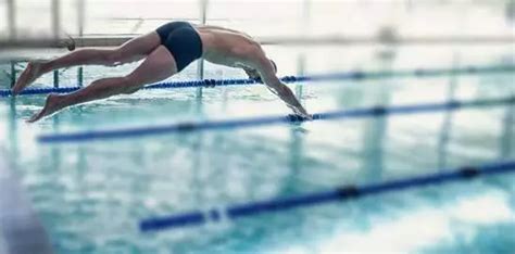 绿城2013千人海豚计划免费游泳培训一周报满-嵊州新闻网