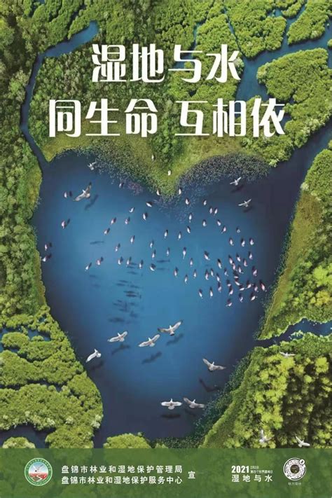 盘锦市林湿局围绕“世界湿地日”主题制作电子海报