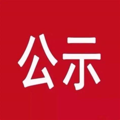 临泽县2022年公开招聘聘用制幼儿教师面试及综合成绩公示_史雪婷_审核_公告