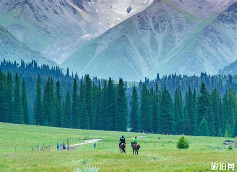 新疆最美的十大著名旅游景点有哪些_旅泊网