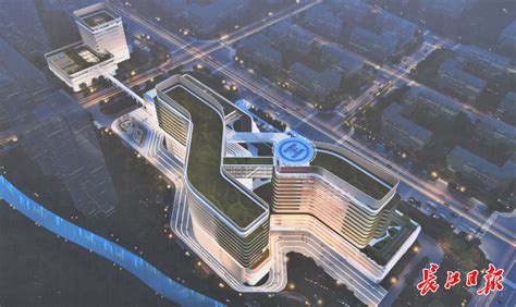 武汉市中心医院：官场化的科教文卫单位标本 - 观点 - 欧洲侨报中文网