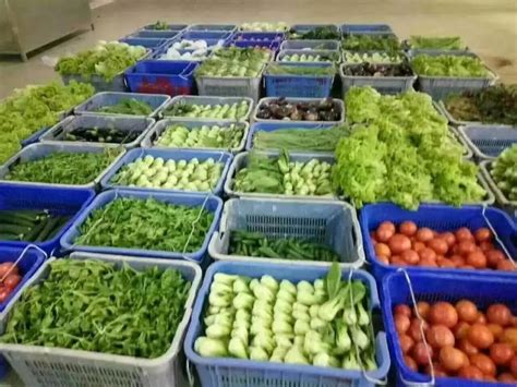顺义区蔬菜日供应量上千吨，保障新鲜菜直达百姓“菜篮子”