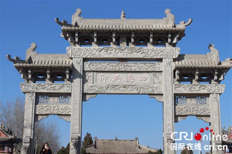 濮阳再添一文化地标 华夏神木博物馆“五一”开放 - 河南省文化和旅游厅
