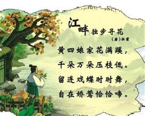 《江畔独步寻花·其五》杜甫唐诗注释翻译赏析 | 古诗学习网