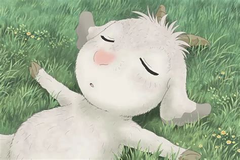2005温情动画《翡翠森林：狼与羊》日语中字/磁力下载 - 日剧跑
