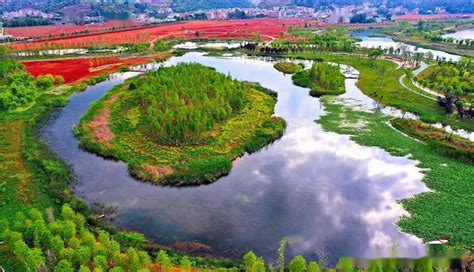 阳宗海明湖湿地恢复南岸自然生态系统将现“明湖八景”