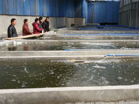 南海所专家赴潮州市饶平县开展水产养殖科技帮扶-南海水产研究所