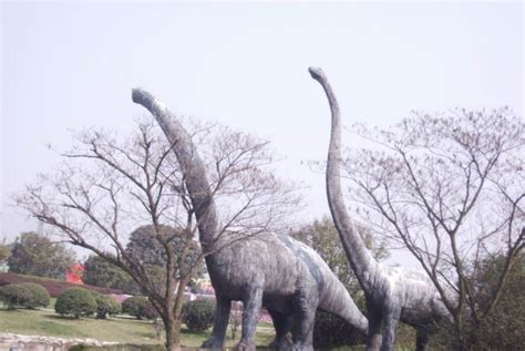 恐龙新物种，日本国内发现最大恐龙骨骼化石，命名为日本龙神|恐龙|龙神|鸭嘴_新浪新闻