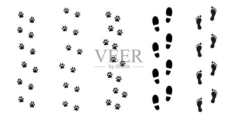 人类和动物的踪迹。向量集合。靴子。猫和狗的痕迹。足迹。野生的自然和宠物。动物学图标。插画图片素材_ID:384354592-Veer图库