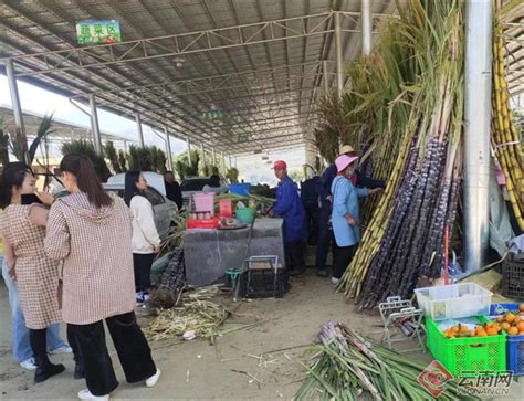 红河州人民政府办公室关于印发红河州滇菜标准化品牌化产业化发展三年行动方案（2023—2025年）的通知