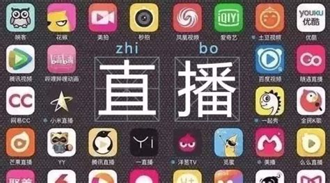 智能电视装机必备app-装机必备电视app3.1.5 官方正版-东坡下载