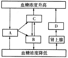 降血糖六位图图片