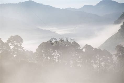 【晨雾中的森林公园摄影图片】上海国内摄影_太平洋电脑网摄影部落
