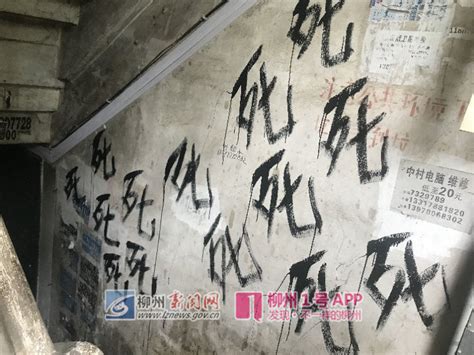 谁干的？东环路一居民楼楼道被泼废油渍，墙面还被写上“死”字_今日柳州_柳州新闻网