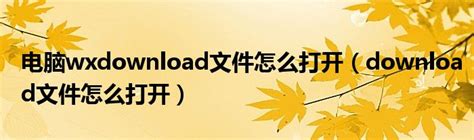 电脑wxdownload文件怎么打开（download文件怎么打开）_环球知识网