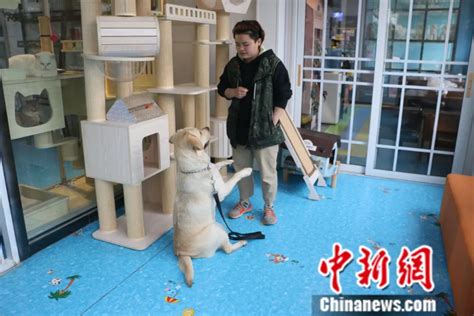 北京亦庄镇文明养狗宣教活动发放拴狗绳，让宠物与居民平安相处 | 北晚新视觉