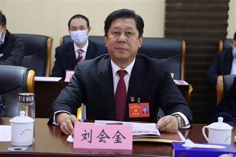 刘会金参加第三代表团审议_大冶市人民政府