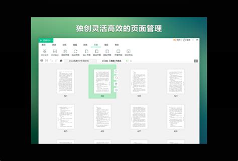 迅读PDF大师下载-迅读PDF大师官方版下载[2024最新版]-pc下载网