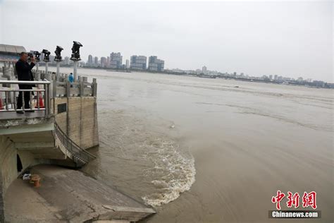湖北武汉：长江水位持续上涨