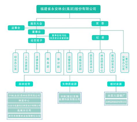 组织架构图-福建省永安林业（集团）股份有限公司