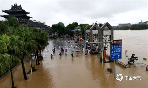 潼南洪水来袭，区旅游人一直在行动 - 上游新闻·汇聚向上的力量