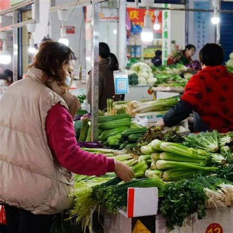 好消息！桂林蔬菜价格开始降了！均价..._青菜_监测_综合