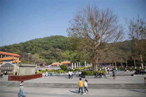 宝安福永凤凰山-登山道图片浏览-宝安福永凤凰山-登山道图片下载 - 酷吧图库