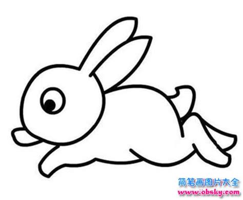 少儿关于奔跑的小白兔简笔画图片大全 - 简笔画兔子 - 儿童简笔画图片大全