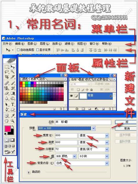ps CS5教程:解析色阶在图像调整中的作用 - 工具教程 - PS教程自学网