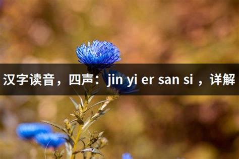 汉字读音，四声：jin yi er san si ，详解_188常识网