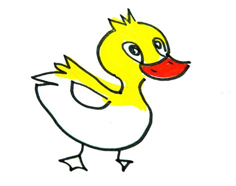 小黄鸭怎么画？可爱卡通鸭子的画法 小黄鸭简笔画绘画教程手绘(2)[ 图片/6P ] - 才艺君