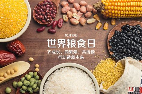 粮食|摄影|产品摄影|中州魄 - 原创作品 - 站酷 (ZCOOL)