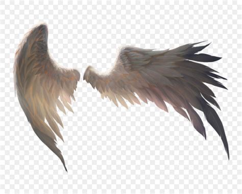 天使的翅膀PNG图片素材下载_翅膀PNG_熊猫办公
