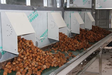 机械一体化推动云南省坚果产业实现从“大”到“强”_云南省林业和草原局