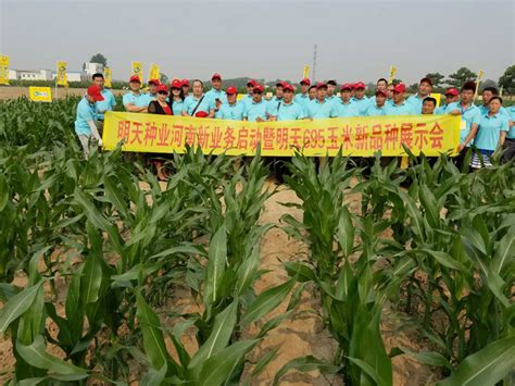 2018-19年度黄淮海区域玉米新品种考察工作顺利开展 - 创世纪种业有限公司