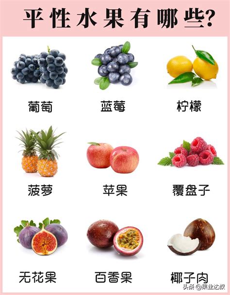 水果名称品种名称,水果名称,水果名称热带(第7页)_大山谷图库