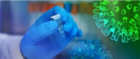 助力新冠疫苗研发，泓迅科技专注新一代DNA技术发展与应用_凯风创投官网