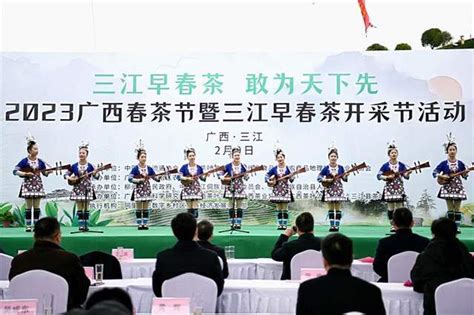 黄金产茶区：2023广西春茶节暨三江早春茶开采节活动启动！