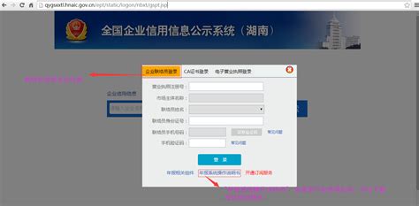 湖南省企业登记全程电子化业务系统 - 随意云