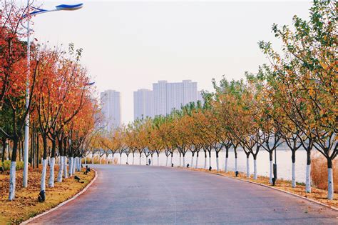 濮阳市城乡一体化示范区：8个项目集中签约 总投资超20亿元 - 中国网