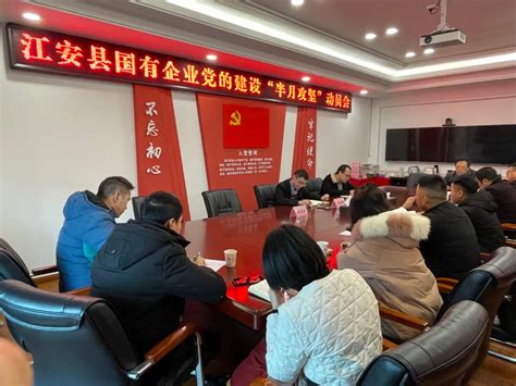 江安县召开国有企业党的建设“半月攻坚”动员会 - 江安融媒 - 几生修得住江安