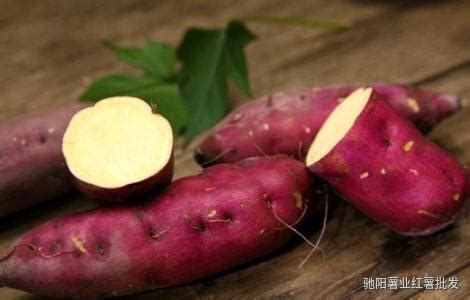 红薯是怎么传入中国的？一只小红薯带了解红薯的发展史|红薯|福建|陈振龙_新浪新闻