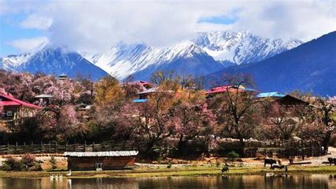 林芝游玩攻略~3、4月想去西藏『林芝』 林芝有什么景点！！西藏旅游干货！！！速度点开！！米瑞带你去林芝转一圈！！！ - 知乎
