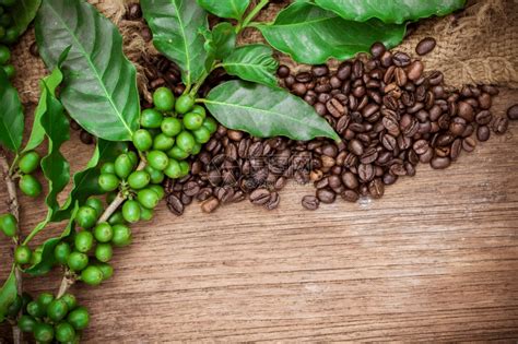 深度烘焙市场上的深烘咖啡豆 不良咖啡商 挑选深烘咖啡豆 中国咖啡网 05月09日更新