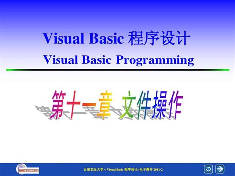 VB基础教程（完整版） 中文_NET教程 - 林风网络